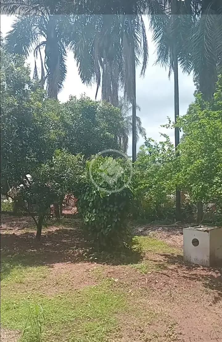 Chácara 1 quarto no Zona Rural, Onda Verde — foto 4 de 6