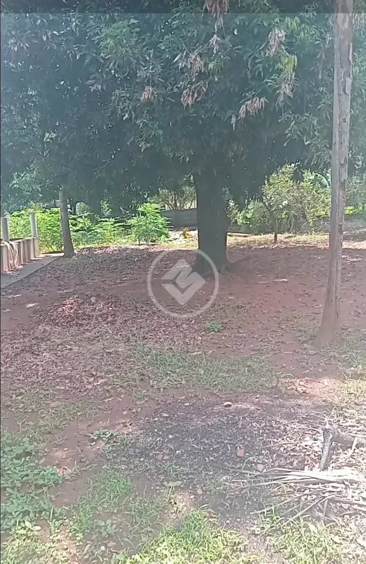 Chácara 1 quarto no Zona Rural, Onda Verde — foto 6 de 6