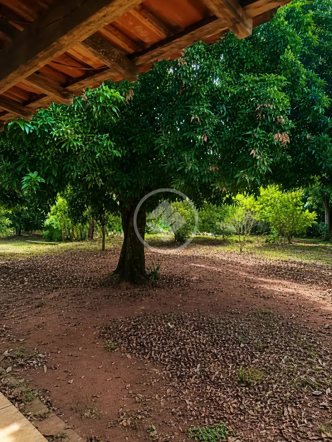 Chácara Zona Rural, Onda Verde - SP — foto 1