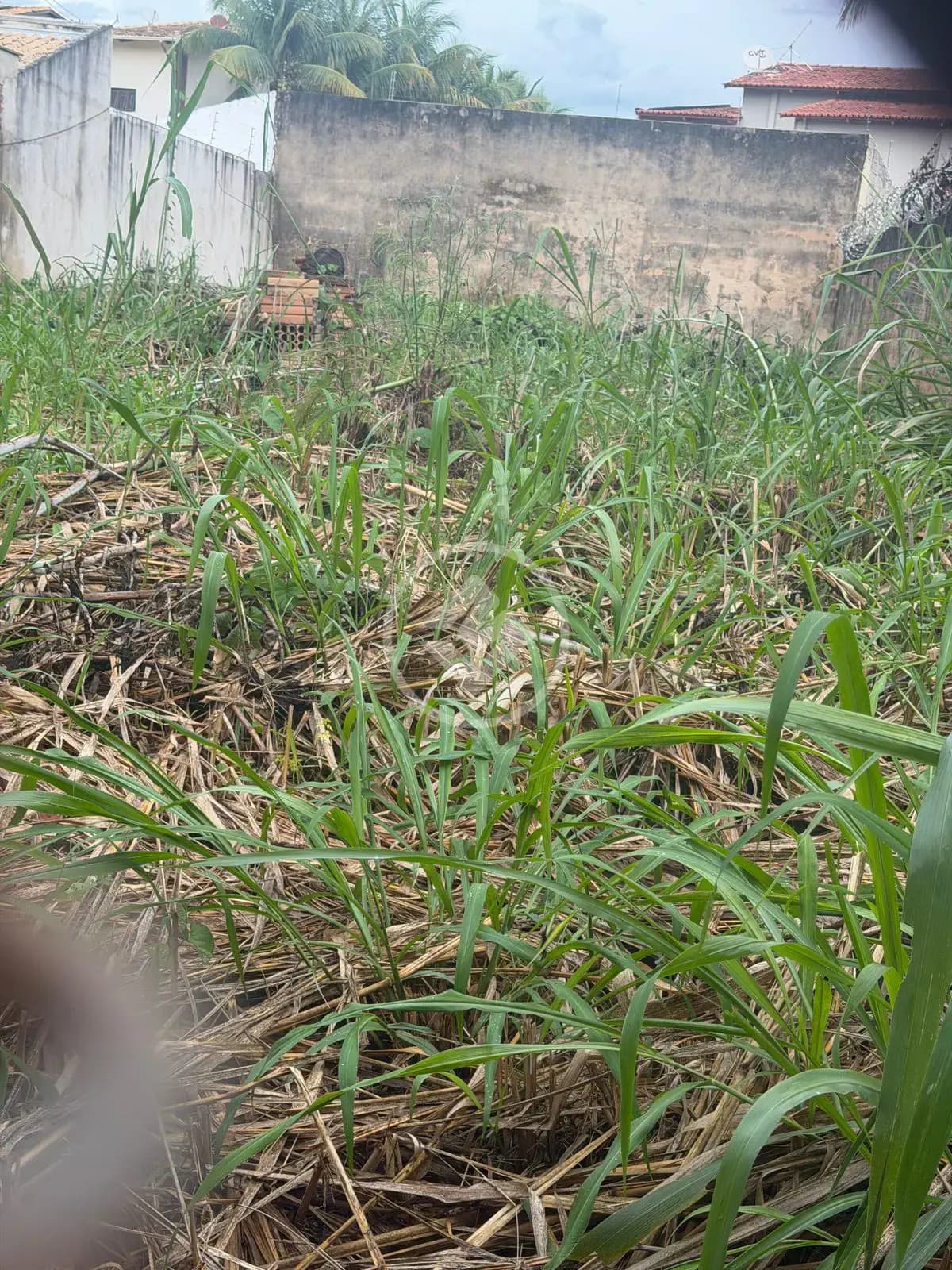 Terreno Setor Jao, Goiânia - GO — foto 1