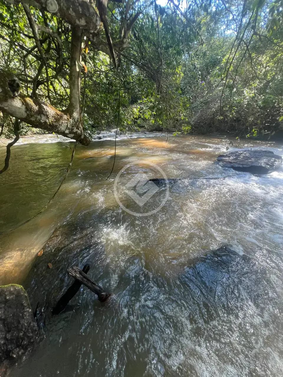 Sítio Aldeia dos Sonhos, Hidrolândia - GO — foto 2