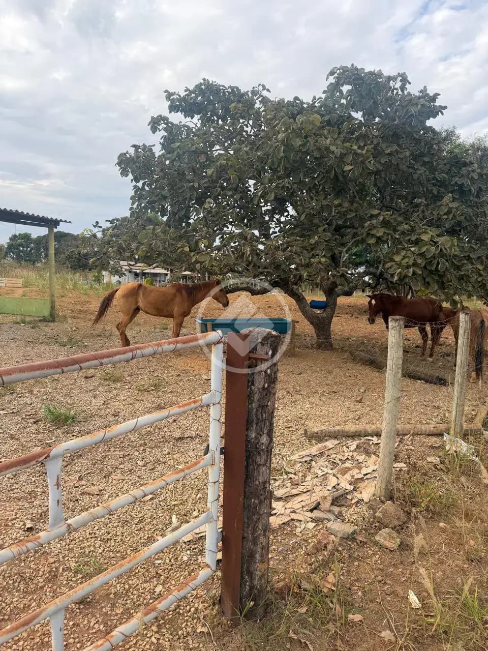 Chácara Zona Rural, Aragoiânia - GO — foto 2