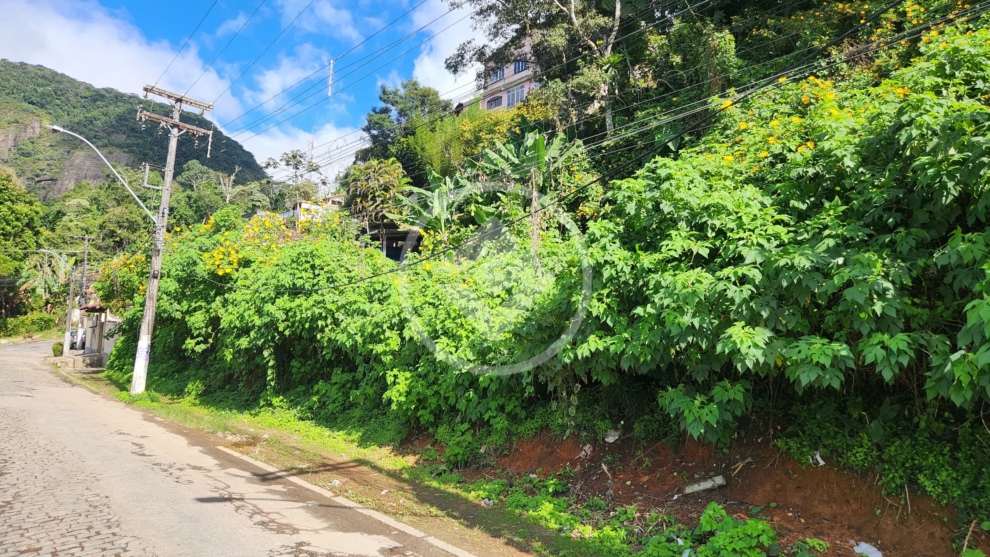 Terreno Granja Guarani, Teresópolis - RJ — foto 1