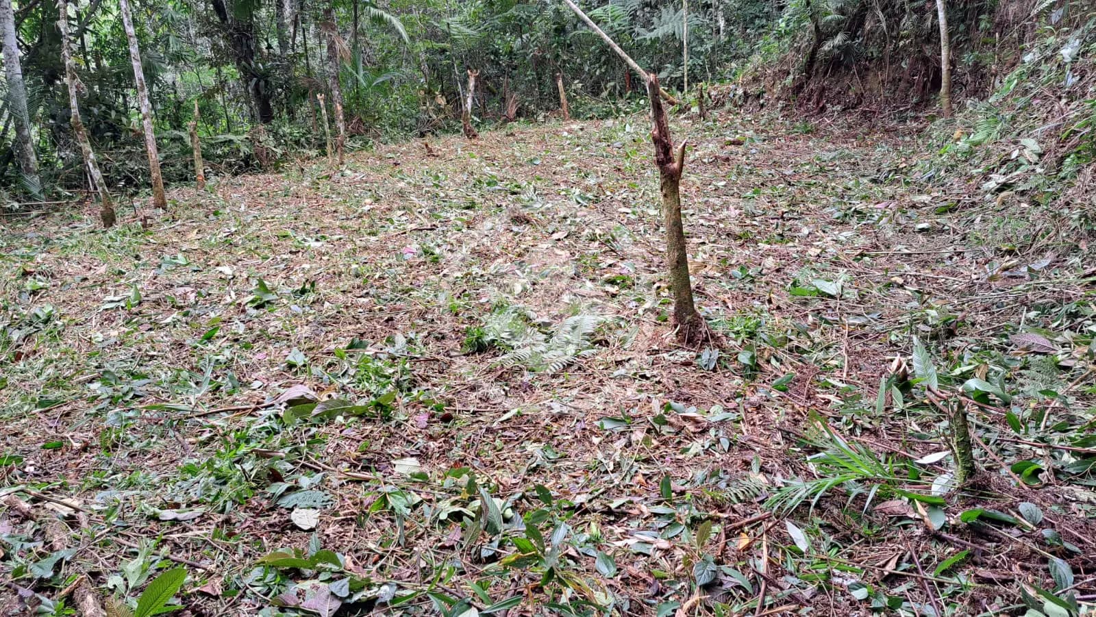 Terreno Vargem Grande, Teresópolis - RJ — foto 1