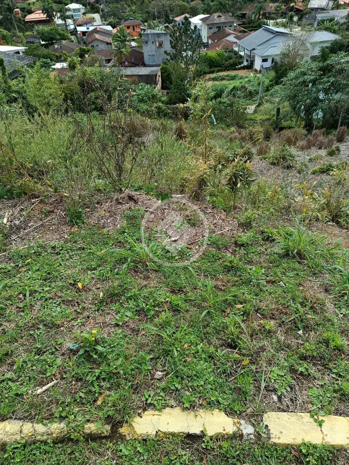 Terreno Condomínio Albuquerque, Teresópolis - RJ — foto 2