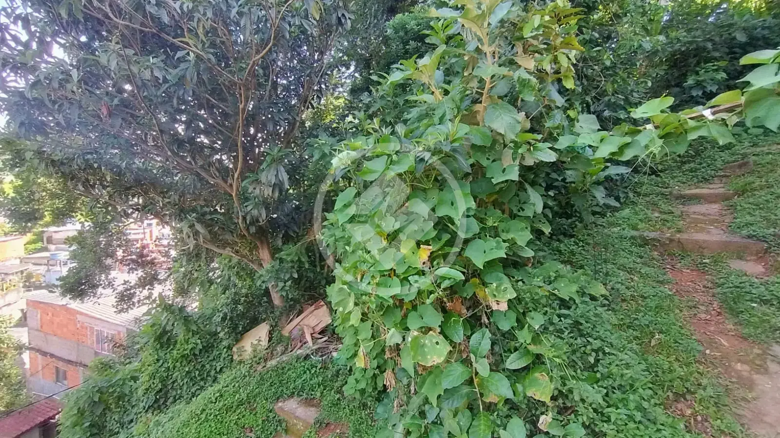 Terreno no Granja Guarani, Teresópolis — foto 6 de 6
