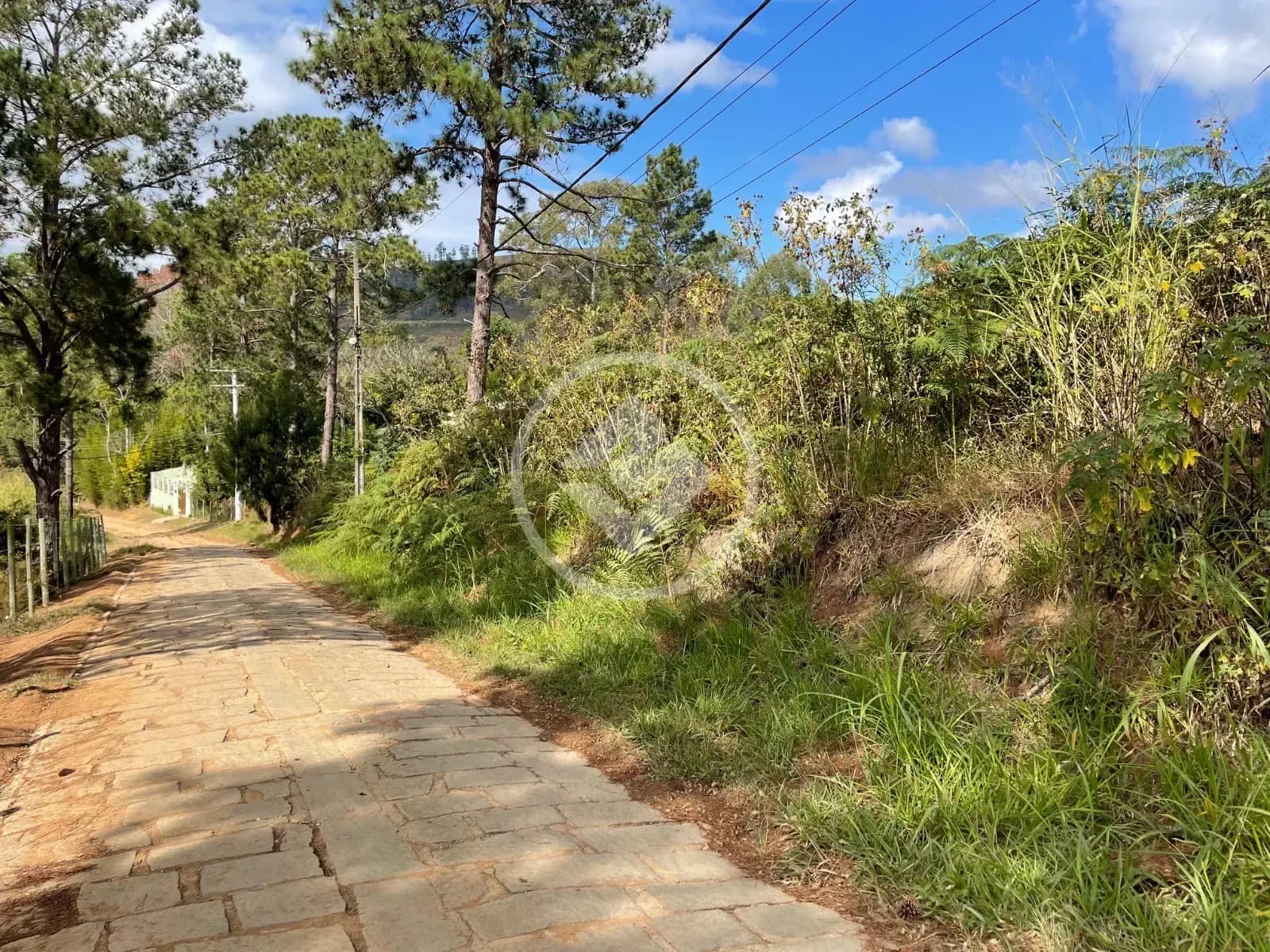 Terreno no Fazenda Suiça, Teresópolis — foto 4 de 6