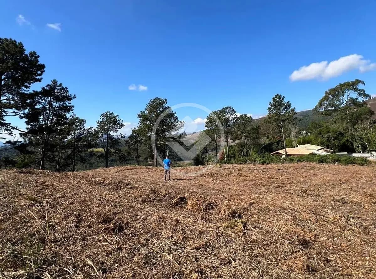 Terreno no Fazenda Suiça, Teresópolis — foto 5 de 6