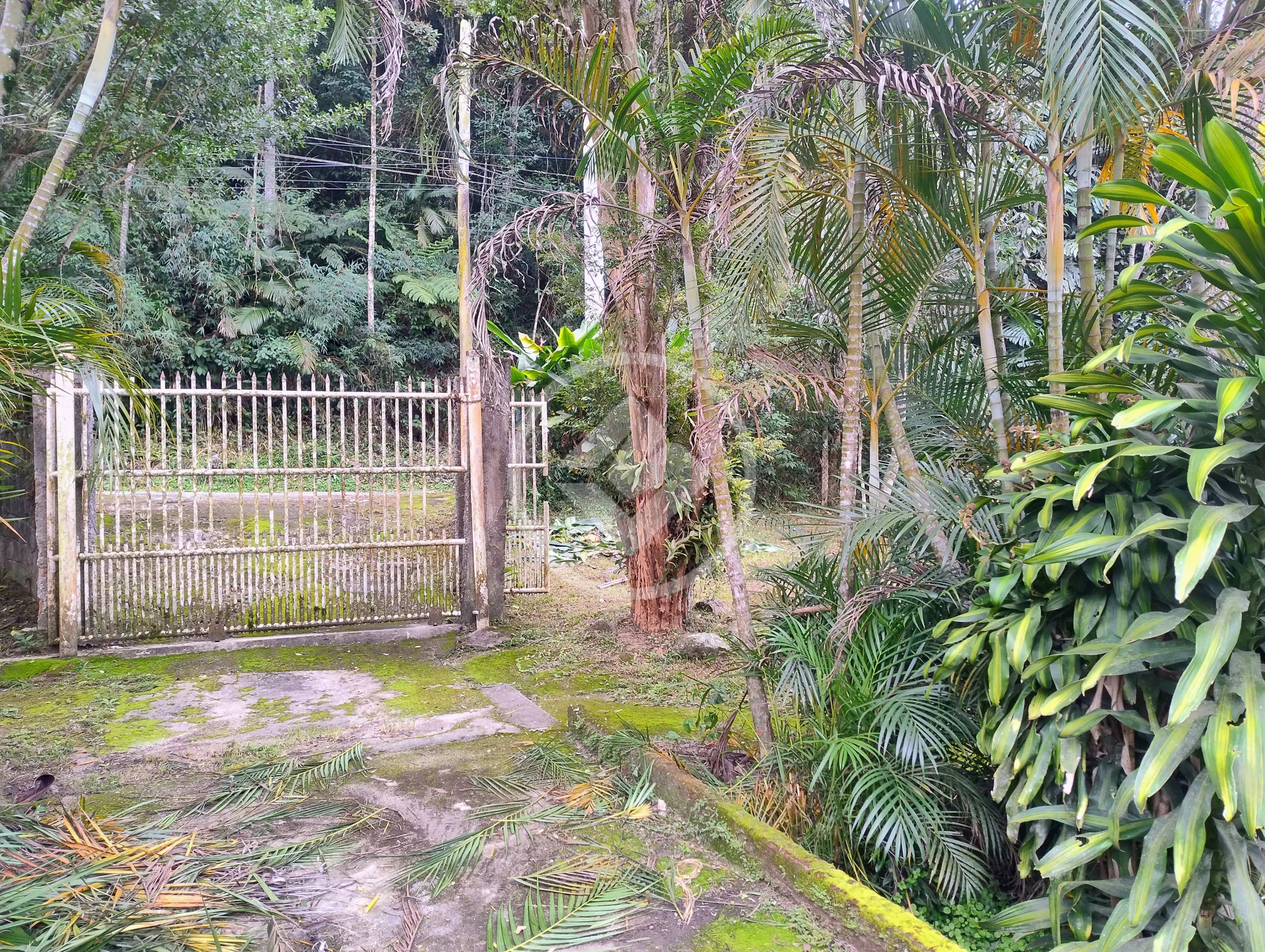 Sítio Albuquerque, Teresópolis - RJ — foto 2