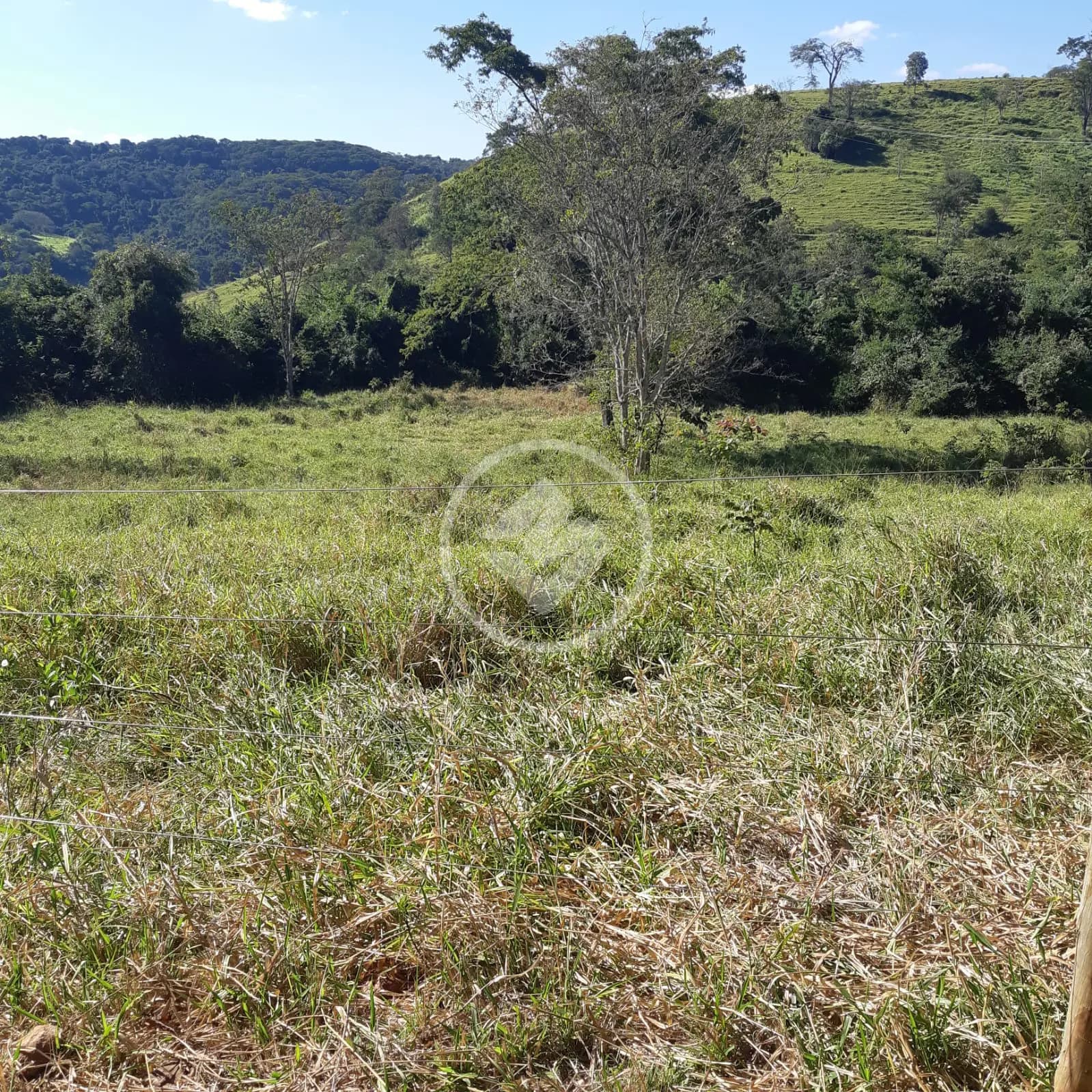 Sítio no Área Rural de Uberlândia, Uberlândia — foto 5 de 6