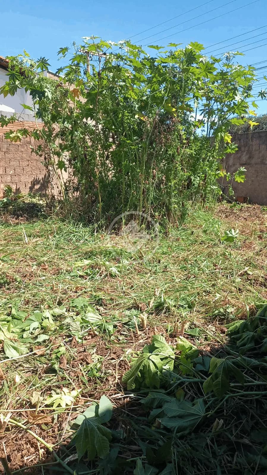 Terreno Presidente Roosevelt, Uberlândia - MG — foto 1