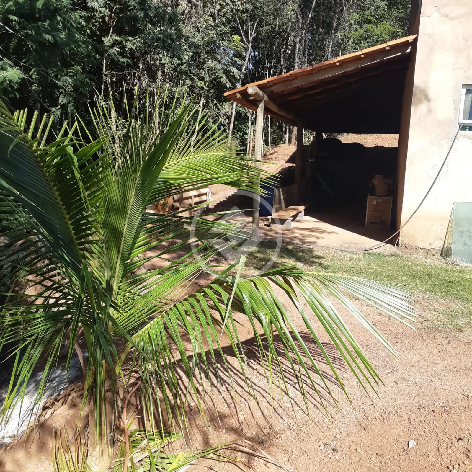Sítio no Área Rural de Uberlândia, Uberlândia — foto 4 de 6