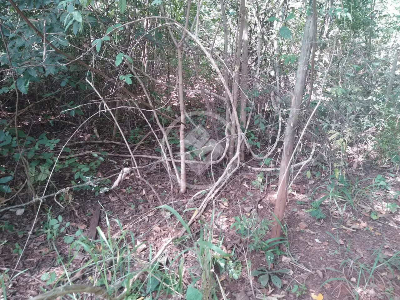 Chácara no Área Rural de Uberlândia, Uberlândia — foto 6 de 6