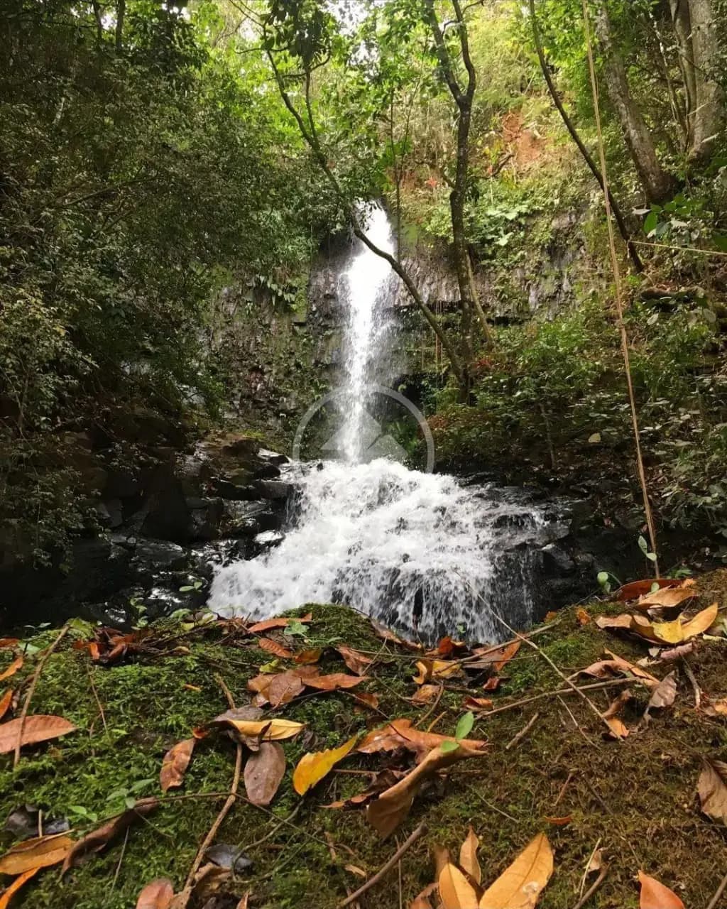 Fazenda Zona Rural, Araguari - MG — foto 1