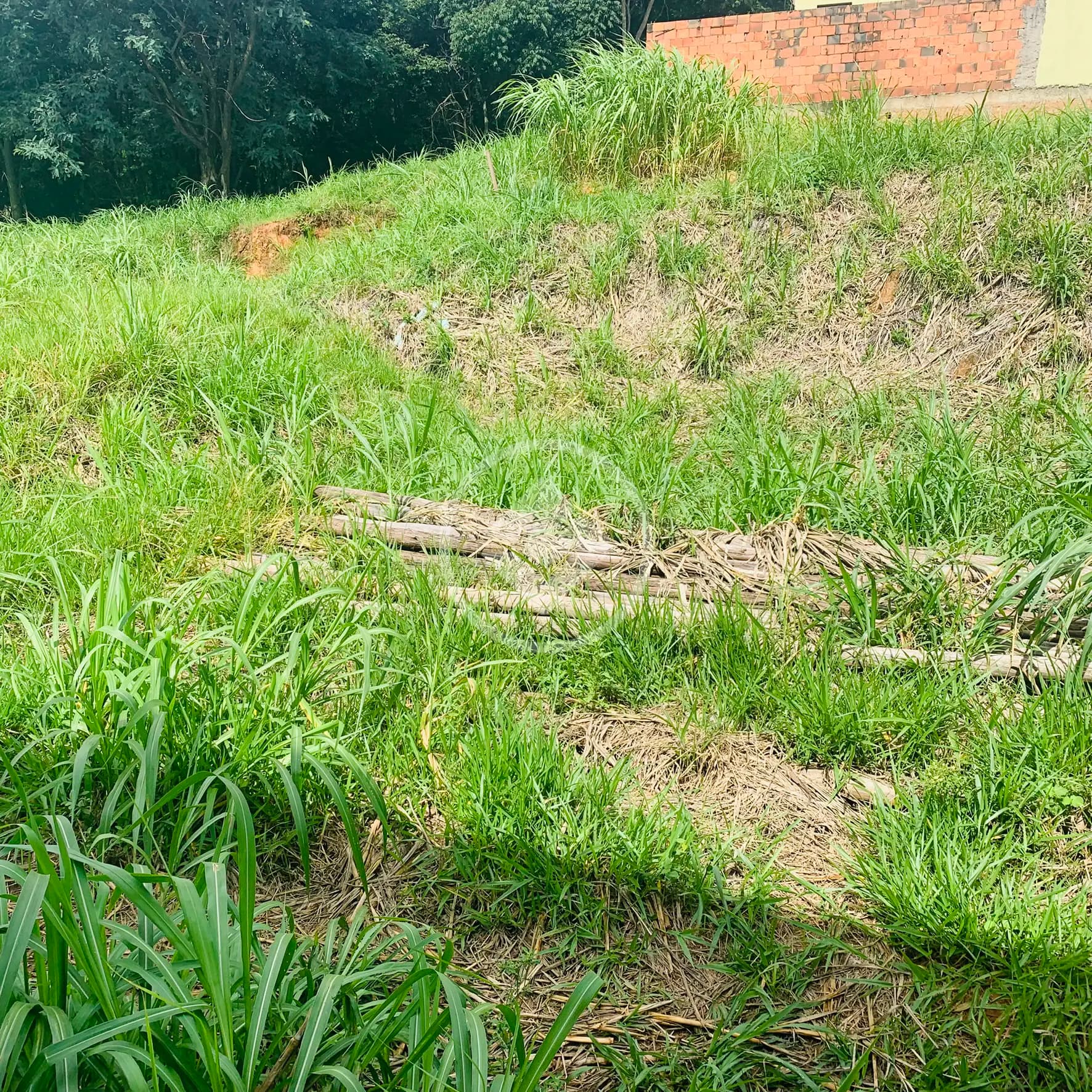Terreno no Capela, Vinhedo — foto 6 de 6