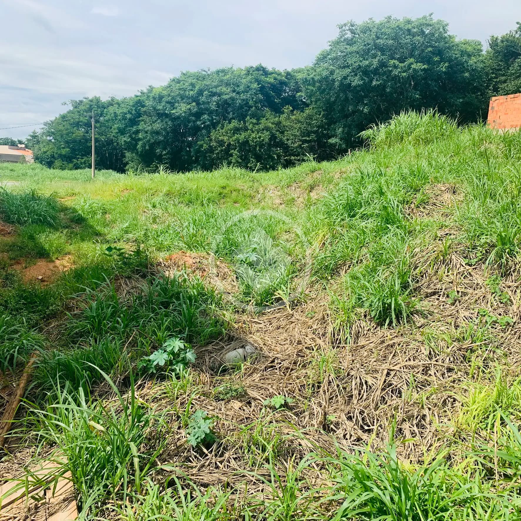 Terreno Capela, Vinhedo - SP — foto 2