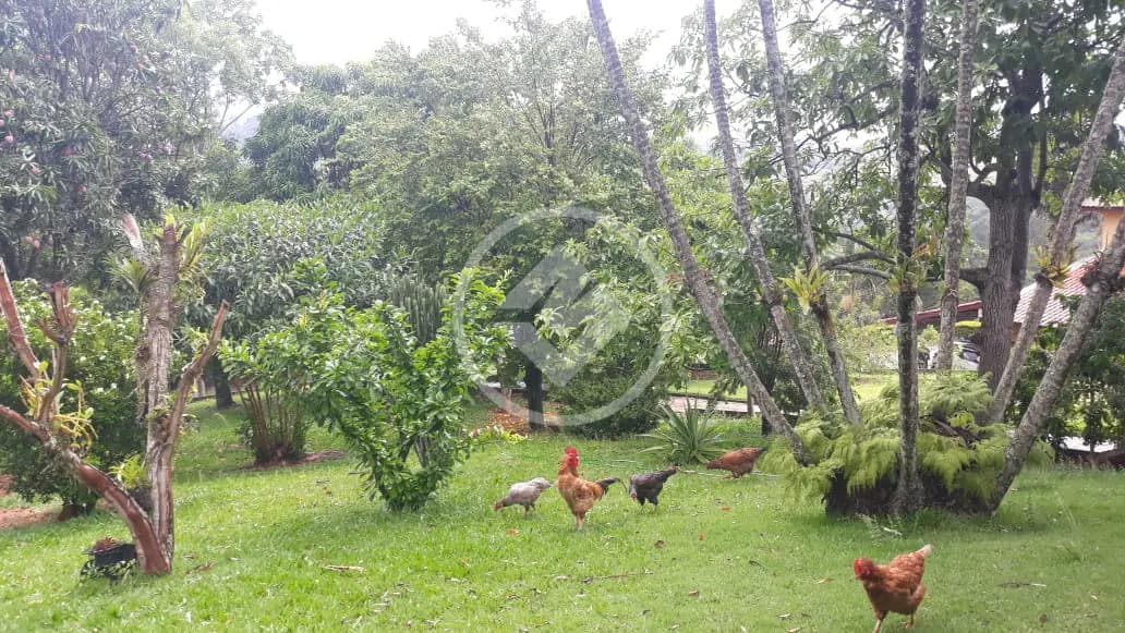 Casa Condomínio 3 quartos no Caixa D´Água, Vinhedo — foto 6 de 6