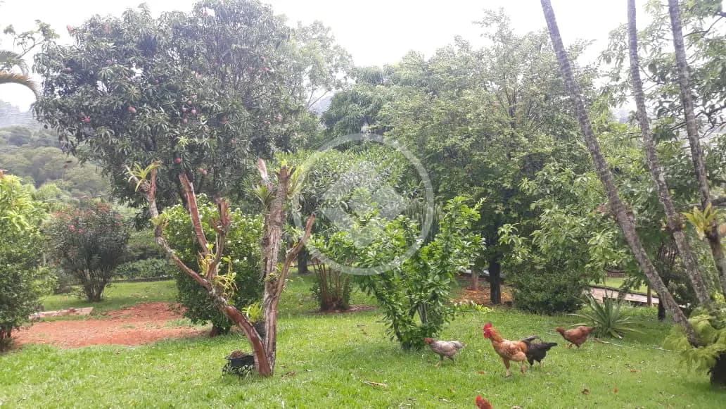 Casa Condomínio 3 quartos no Caixa D´Água, Vinhedo — foto 4 de 6