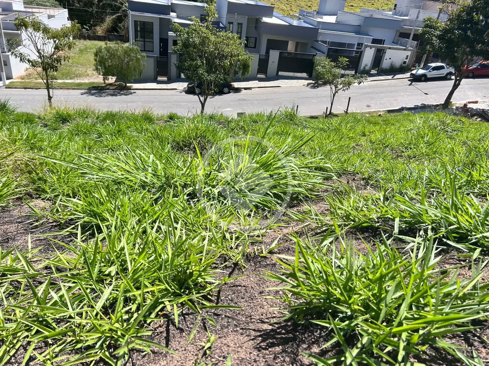 Terreno Bosque, Vinhedo - SP — foto 2