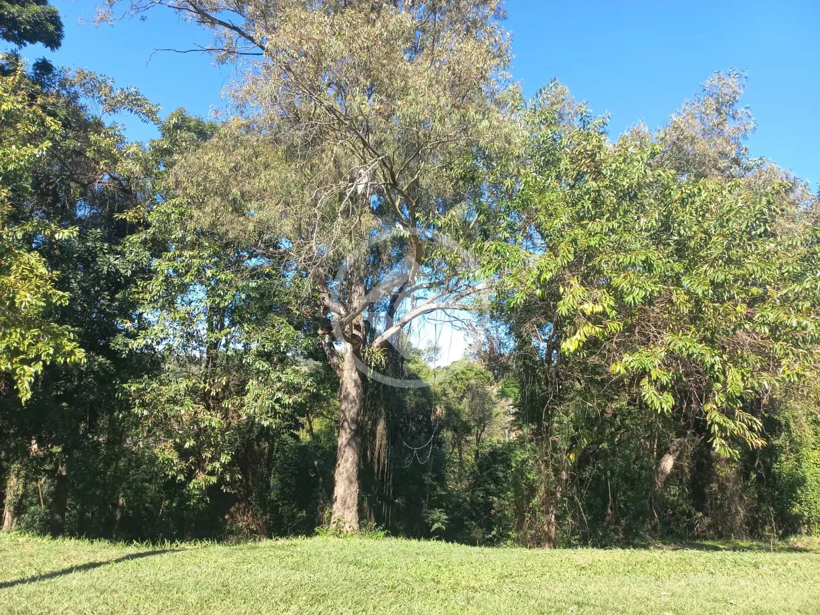 Terreno Condomínio no Condominio Terras de Santa Teresa, Itupeva — foto 5 de 6