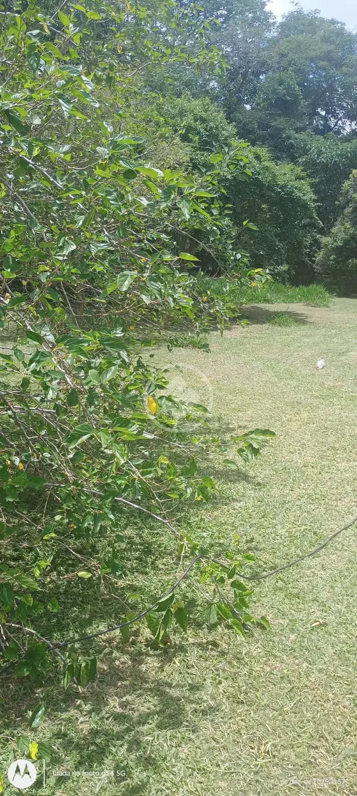 Terreno no Mombuca, Itatiba — foto 4 de 6
