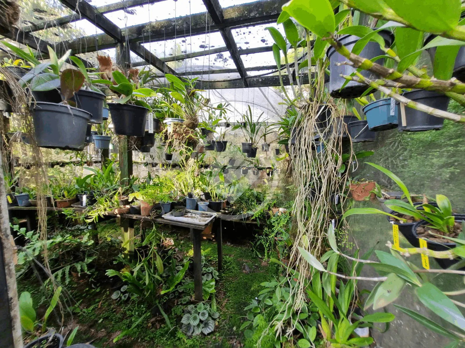 Casa Condomínio 4 quartos no Caixa D´Água, Vinhedo — foto 4 de 6
