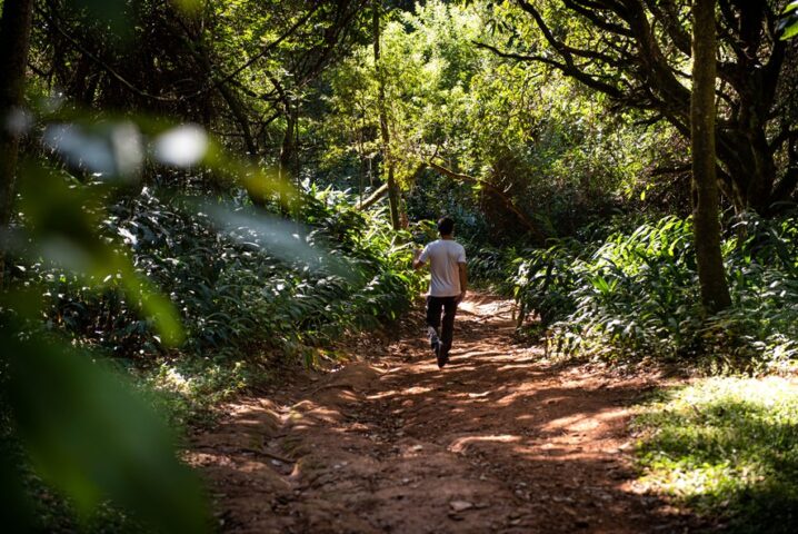 Trilhas ecológicas — Vale do Sereno, Nova Lima
