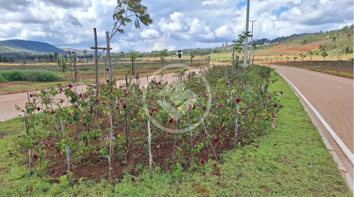 Terreno condomínio à venda no bairro Alphaville - Lagoa dos Ingleses — Alphaville - Lagoa dos Ingleses, Nova Lima